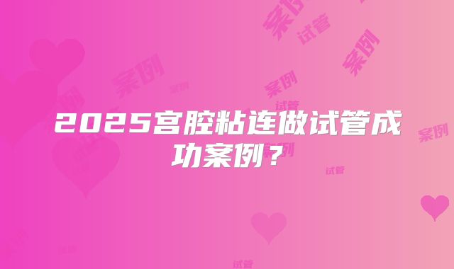 2025宫腔粘连做试管成功案例?