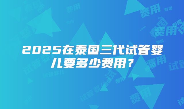 2025在泰国三代试管婴儿要多少费用？