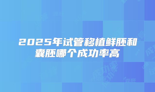 2025年试管移植鲜胚和囊胚哪个成功率高