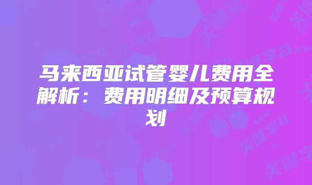 马来西亚试管婴儿费用全解析：费用明细及预算规划