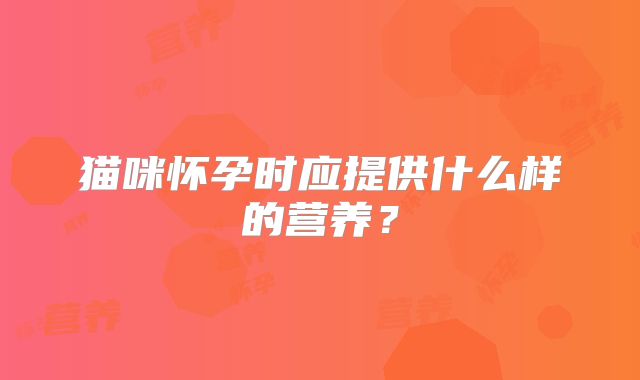 猫咪怀孕时应提供什么样的营养？