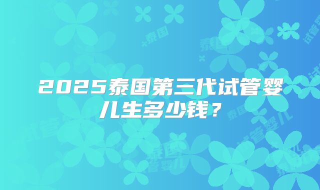 2025泰国第三代试管婴儿生多少钱？