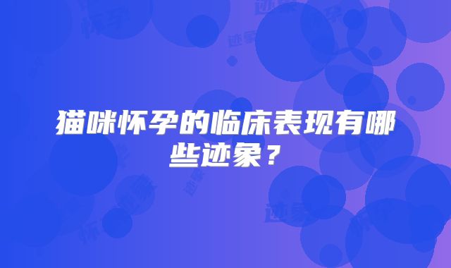 猫咪怀孕的临床表现有哪些迹象?