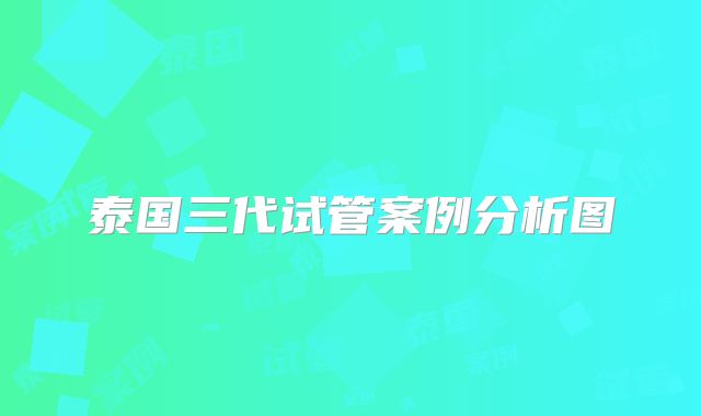 泰国三代试管案例分析图