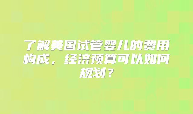 了解美国试管婴儿的费用构成，经济预算可以如何规划？