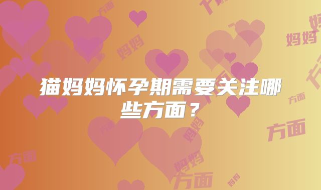 猫妈妈怀孕期需要关注哪些方面？