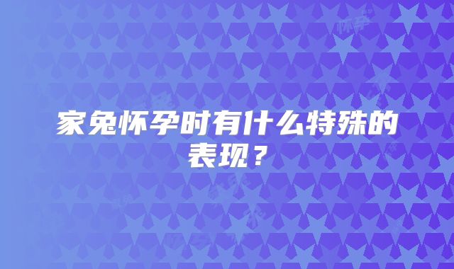 家兔怀孕时有什么特殊的表现?