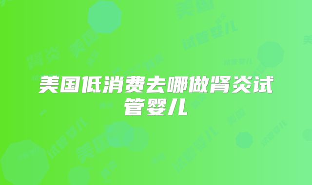 美国低消费去哪做肾炎试管婴儿