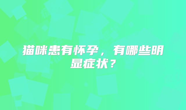 猫咪患有怀孕，有哪些明显症状？