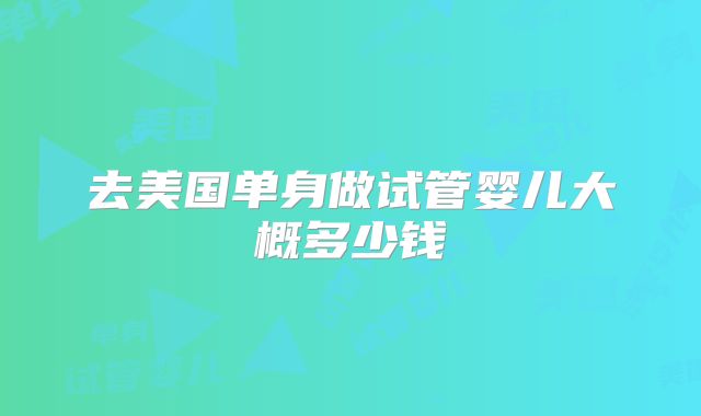 去美国单身做试管婴儿大概多少钱