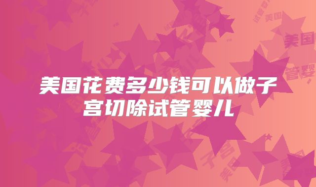 美国花费多少钱可以做子宫切除试管婴儿