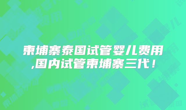 柬埔寨泰国试管婴儿费用,国内试管柬埔寨三代！