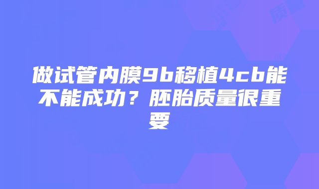 做试管内膜9b移植4cb能不能成功？胚胎质量很重要