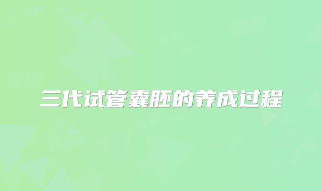 三代试管囊胚的养成过程