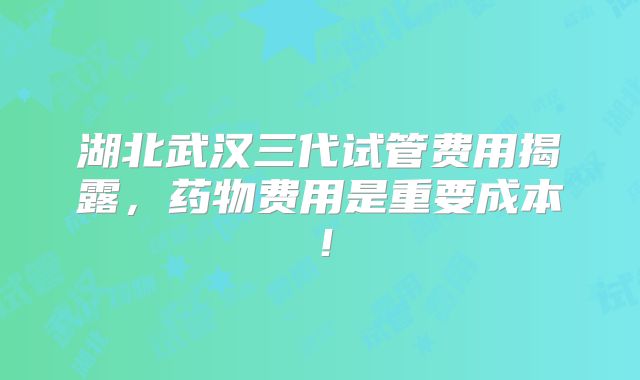 湖北武汉三代试管费用揭露,药物费用是重要成本!