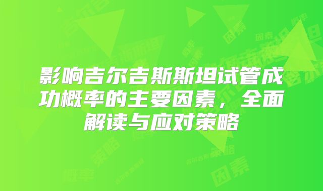 影响吉尔吉斯斯坦试管成功概率的主要因素，全面解读与应对策略