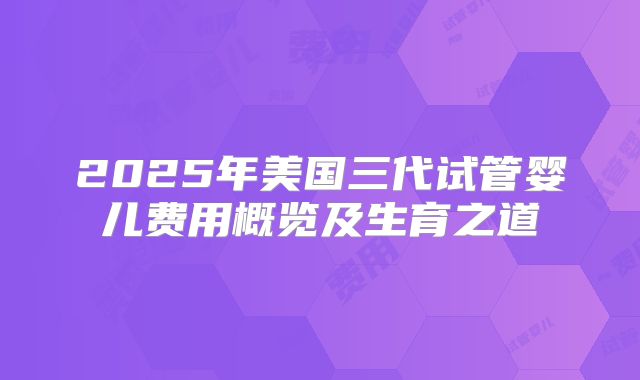 2025年美国三代试管婴儿费用概览及生育之道