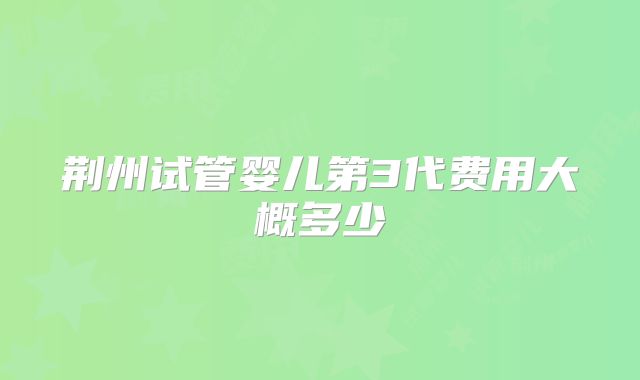 荆州试管婴儿第3代费用大概多少