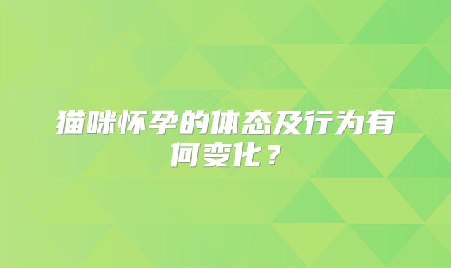 猫咪怀孕的体态及行为有何变化？