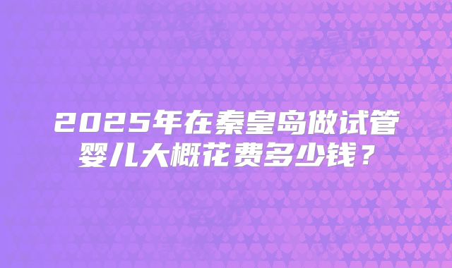 2025年在秦皇岛做试管婴儿大概花费多少钱？
