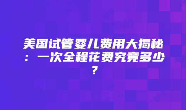 美国试管婴儿费用大揭秘：一次全程花费究竟多少？