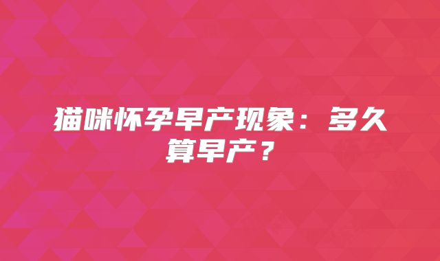 猫咪怀孕早产现象:多久算早产?