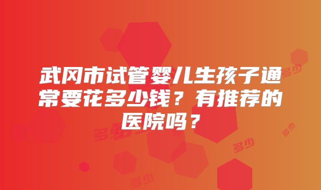 武冈市试管婴儿生孩子通常要花多少钱？有推荐的医院吗？