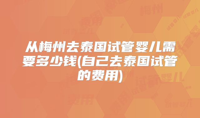 从梅州去泰国试管婴儿需要多少钱(自己去泰国试管的费用)