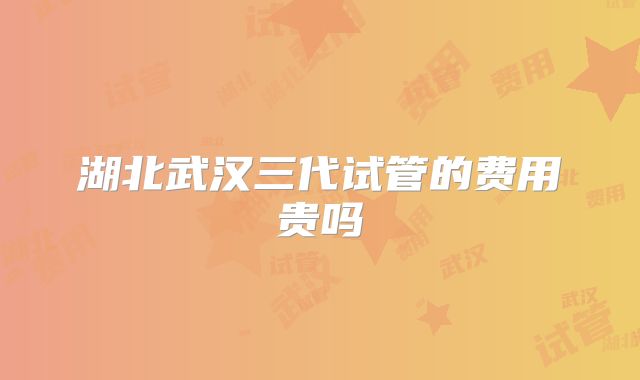 湖北武汉三代试管的费用贵吗