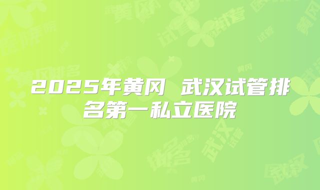 2025年黄冈 武汉试管排名第一私立医院