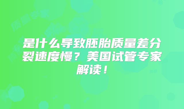 是什么导致胚胎质量差分裂速度慢？美国试管专家解读！