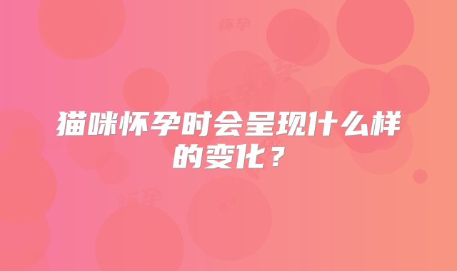 猫咪怀孕时会呈现什么样的变化？