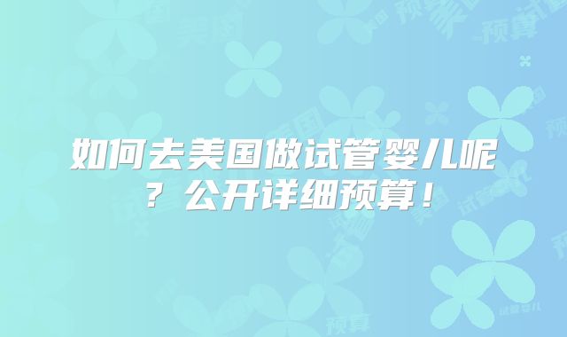 如何去美国做试管婴儿呢?公开详细预算!