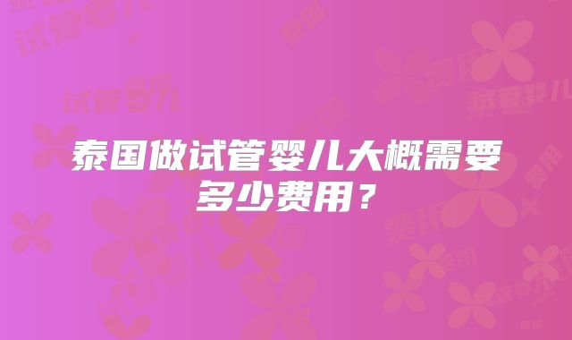 泰国做试管婴儿大概需要多少费用？