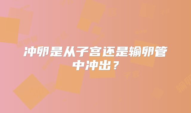 冲卵是从子宫还是输卵管中冲出？