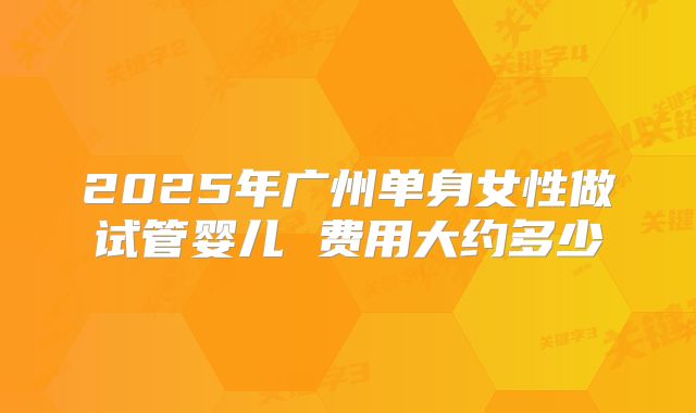 2025年广州单身女性做试管婴儿 费用大约多少