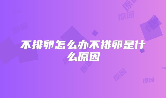 不排卵怎么办不排卵是什么原因