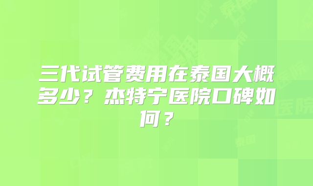 三代试管费用在泰国大概多少？杰特宁医院口碑如何？