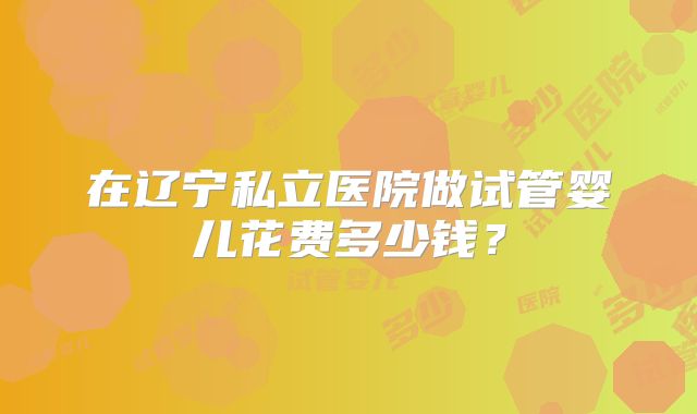 在辽宁私立医院做试管婴儿花费多少钱？