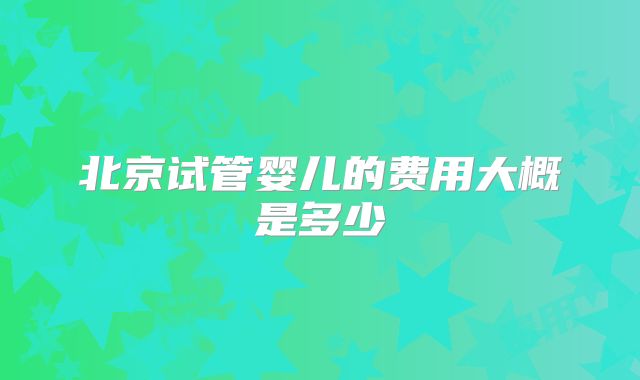 北京试管婴儿的费用大概是多少