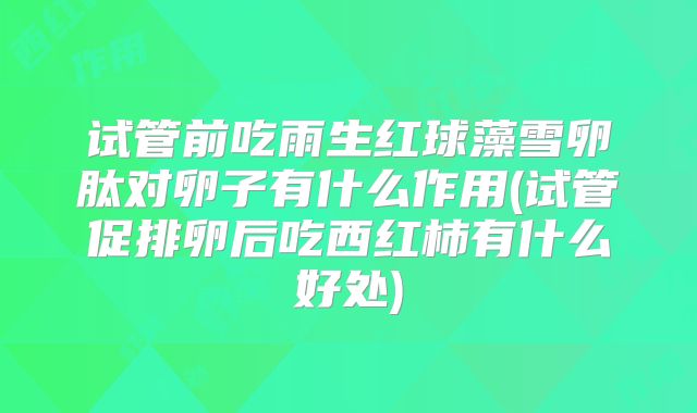 试管前吃雨生红球藻雪卵肽对卵子有什么作用(试管促排卵后吃西红柿有什么好处)