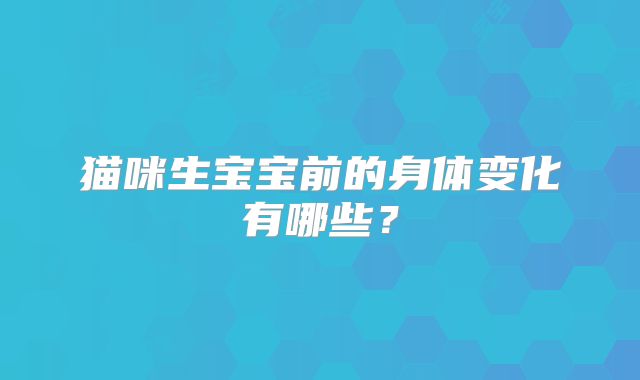 猫咪生宝宝前的身体变化有哪些?