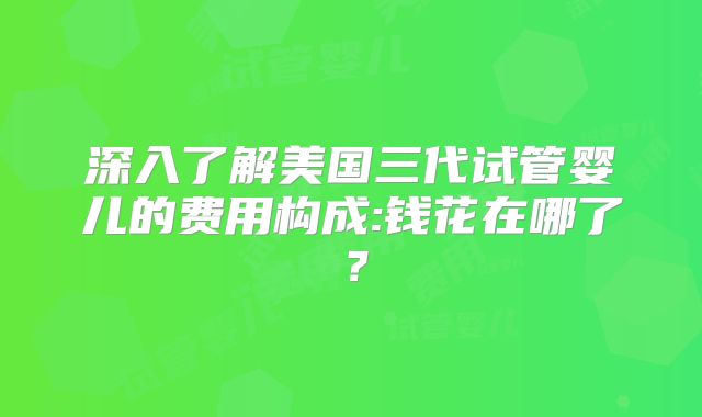 深入了解美国三代试管婴儿的费用构成:钱花在哪了？
