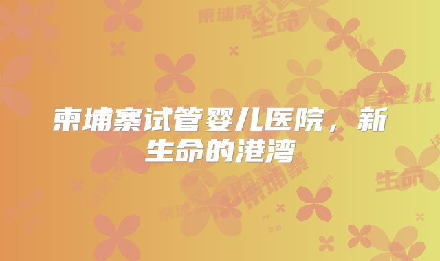 柬埔寨试管婴儿医院，新生命的港湾