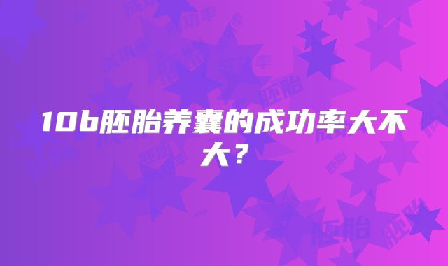 10b胚胎养囊的成功率大不大？