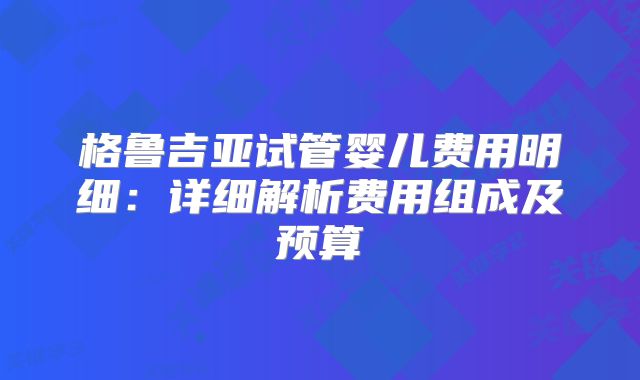 格鲁吉亚试管婴儿费用明细：详细解析费用组成及预算