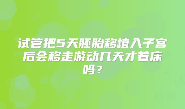 试管把5天胚胎移植入子宫后会移走游动几天才着床吗？