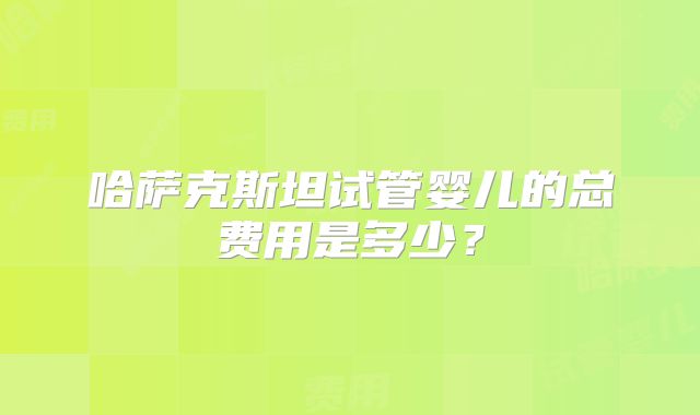 哈萨克斯坦试管婴儿的总费用是多少？