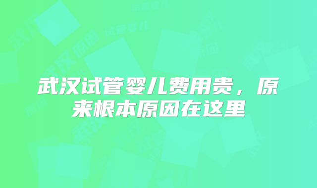 武汉试管婴儿费用贵,原来根本原因在这里