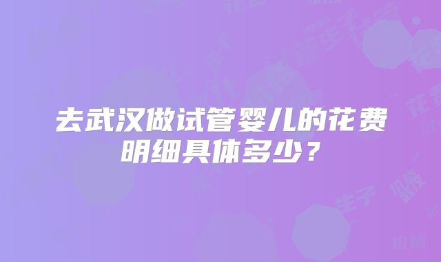 去武汉做试管婴儿的花费明细具体多少？